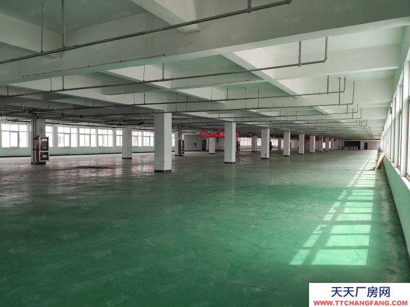 (出租) 阜陽潁泉政府產權園區2000平廠房出租