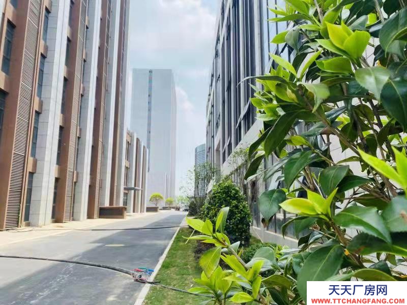 (出租) 阜陽太和產業園精裝辦公室，廠房，大通庫