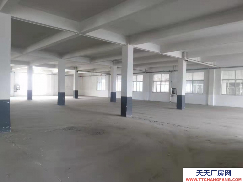 (出租) 阜陽太和團結東路兩棟廠房獨門獨院