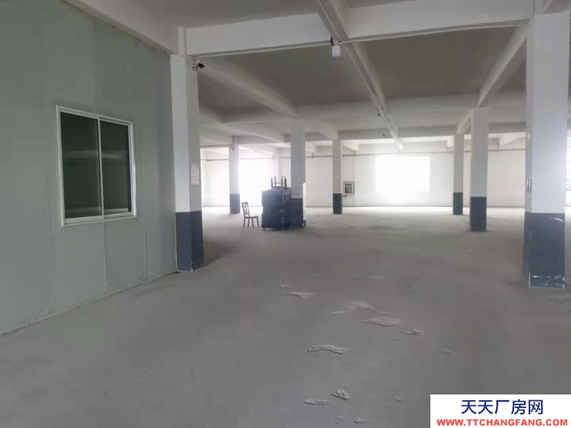 (出租) 阜陽太和團結東路兩棟廠房獨門獨院