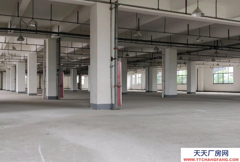 (出租) 阜陽阜南非中介，二樓，電話聯系，全新廠房