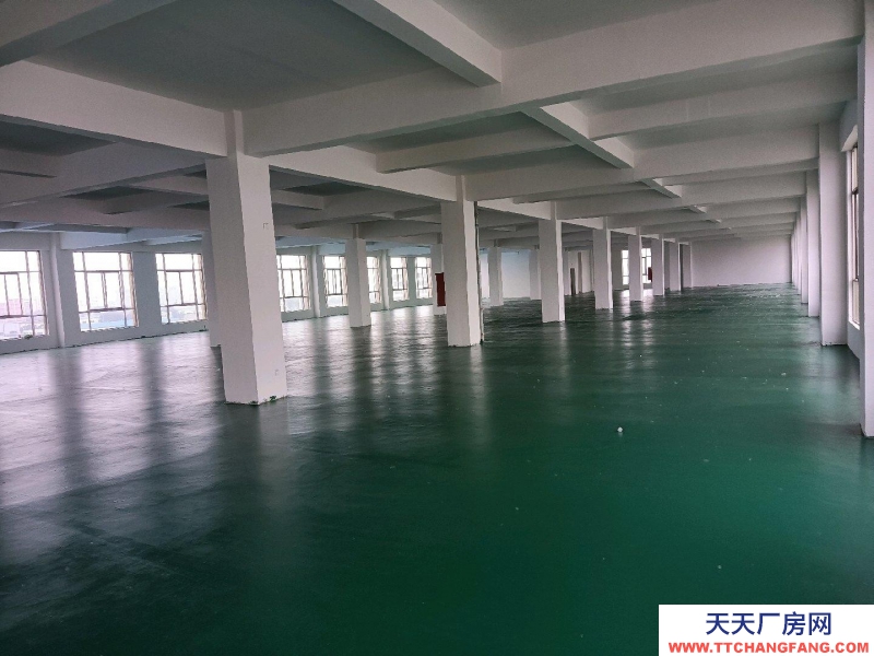 (出租)阜陽臨泉五六層對外出租，可當倉庫，廠房；培訓機構；寫字樓