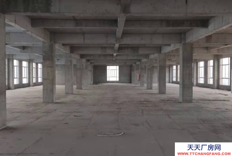 (出租)阜陽臨泉五六層對外出租，可當倉庫，廠房；培訓機構；寫字樓