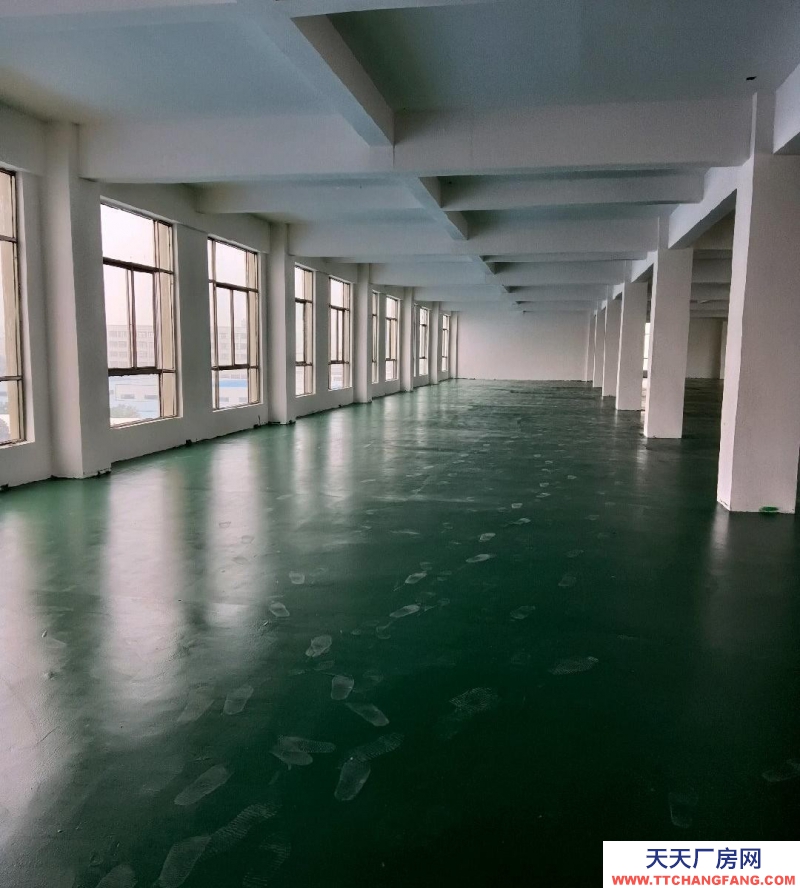 (出租)阜陽臨泉五六層對外出租，可當倉庫，廠房；培訓機構；寫字樓