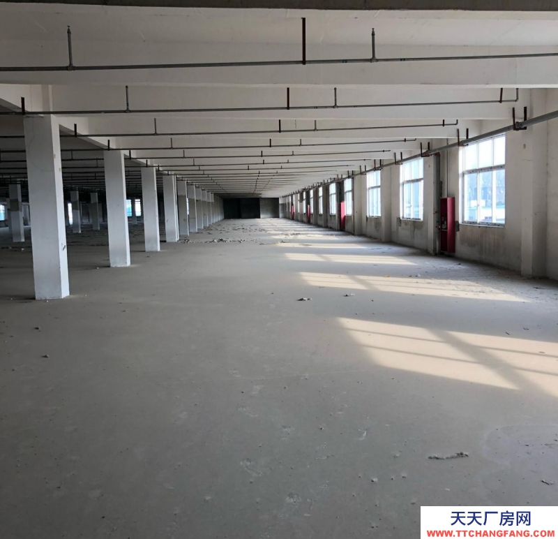 (出租) 阜陽(yáng)界首塑料造粒粉碎注塑成品