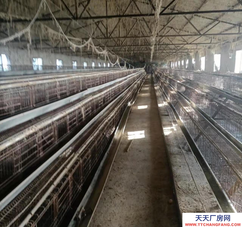 (出租)阜陽界首 個人房源，做養殖，小廠房都很合適，出路好