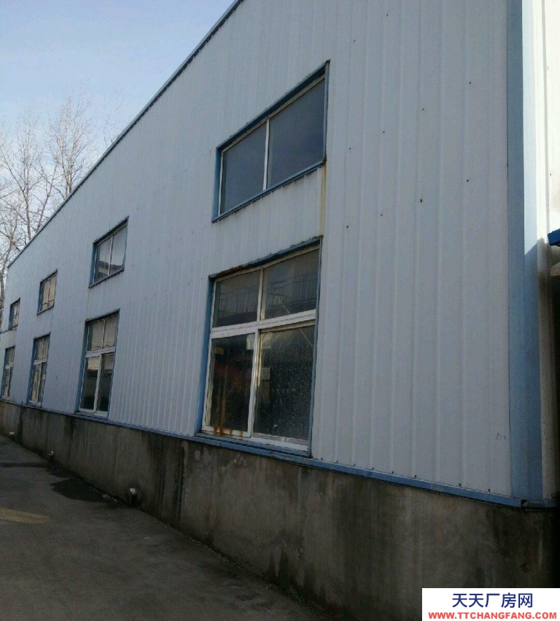 (出租) 阜陽界首界光路張大橋 廠房 500平米