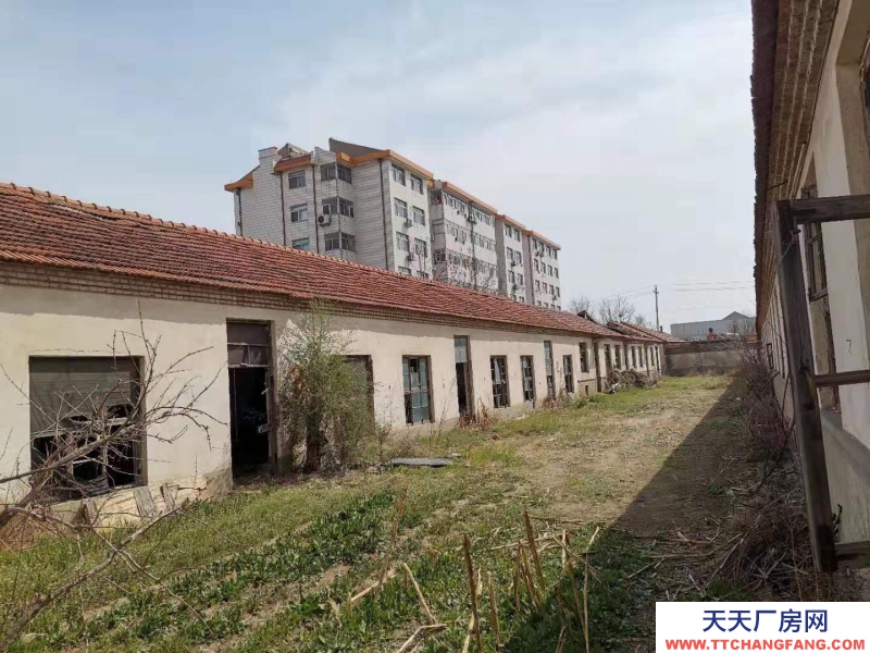 出售牟平南溝村廠房 可倉儲辦公