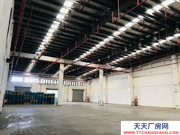 蘇州市相城區新出2000平方標準物流倉庫出租,大車好周轉,車輛進出方便