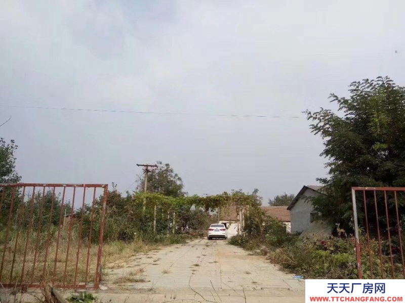 龍口國 有 工 業 用 地