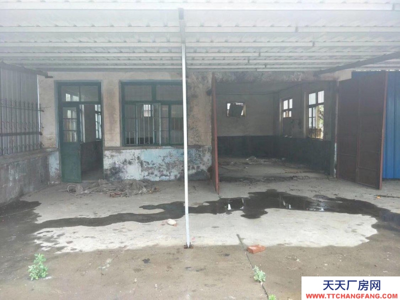 龍口北馬刁家村西頭,龍青高速 廠房 800平米出租出售