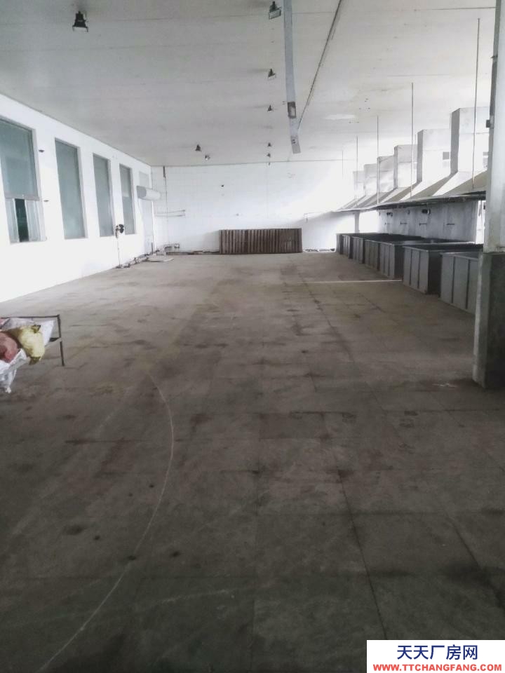 萊陽交通方便價格便宜！獨門獨院！