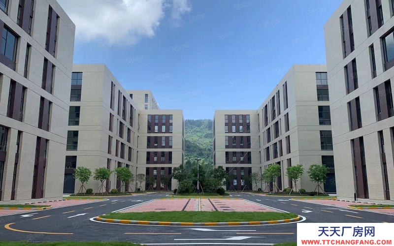 (出售) 佛山禪城五八科創園3600平方四層獨棟出售丨可按揭