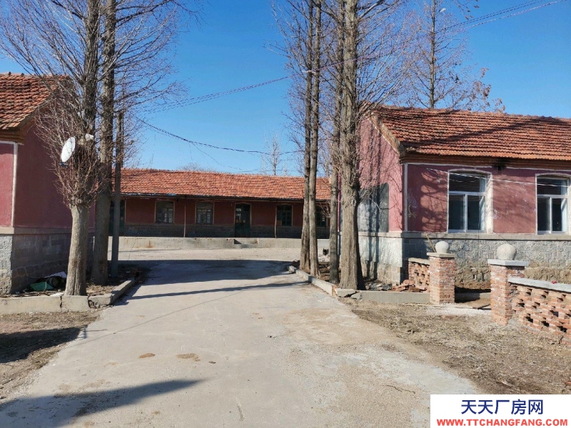 萊陽市萬第鎮學校大院出租、出售