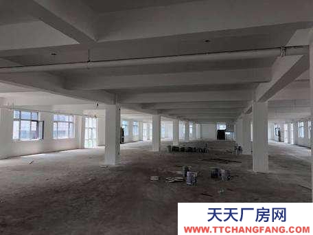 唐山 路北 高新技術開發區4000平辦公廠房出售