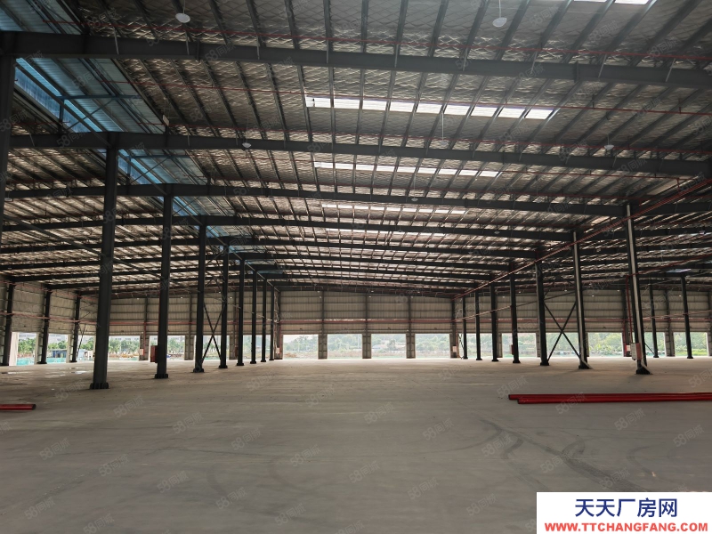 (出租) 佛山高明高標倉庫7萬平紅本丙二類消防1.2米高臺高速口獨院形象好