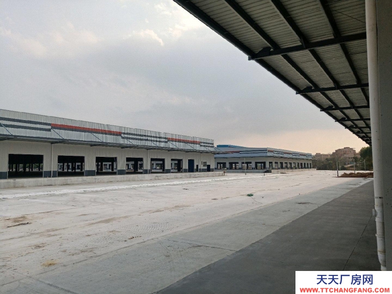 (出租) 佛山高明全新獨(dú)門(mén)獨(dú)院證件齊全倉(cāng)庫(kù)出租