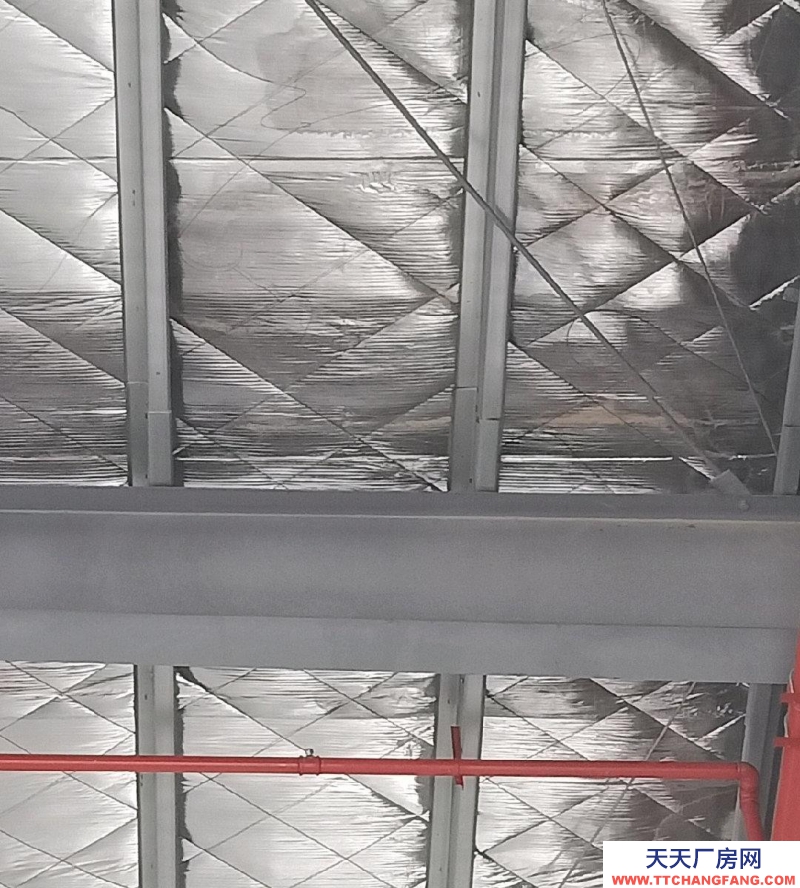 (出租) 佛山高明全新獨(dú)門(mén)獨(dú)院證件齊全倉(cāng)庫(kù)出租