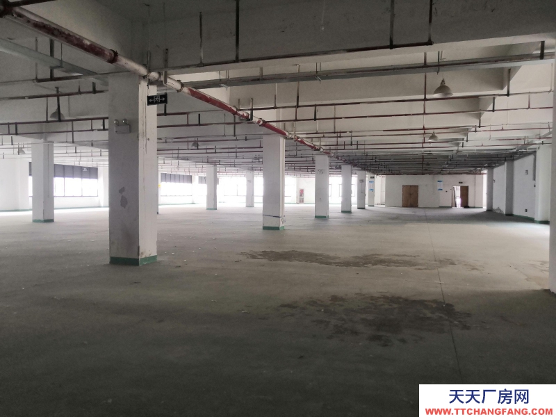 湖州織里廠房320平米，可做童裝生產