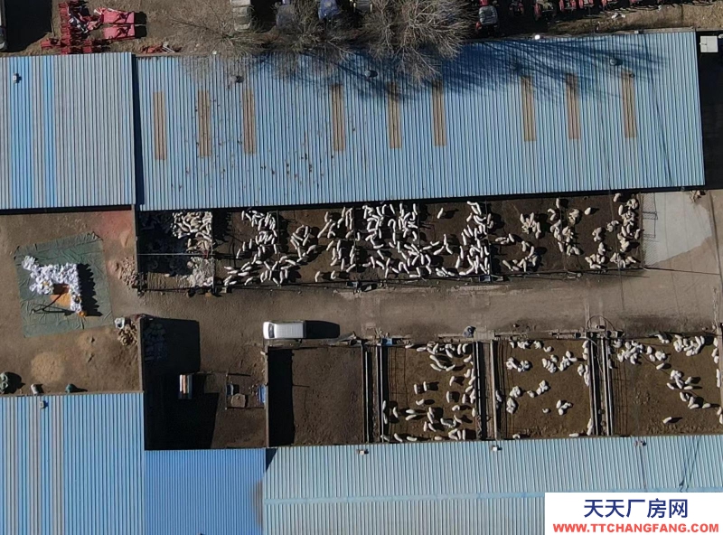 (出租) 場地出租 現有龍泉鎮東關村洋墩河東公路南側