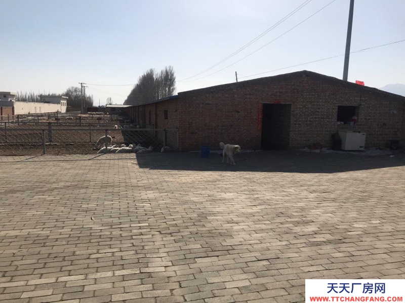 (出售) 面積大可廠房可倉庫可養殖