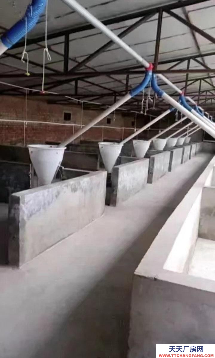 (出租) 養(yǎng)殖廠，工廠地理位置優(yōu)雅