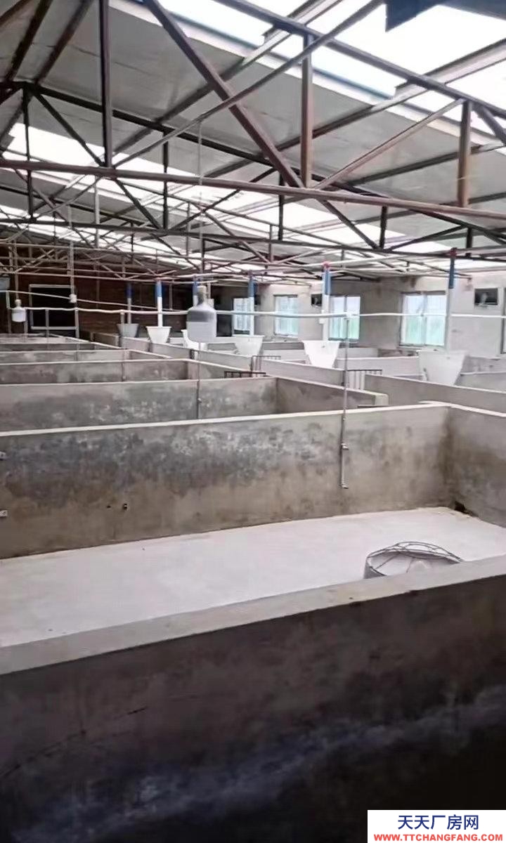 (出租) 養(yǎng)殖廠，工廠地理位置優(yōu)雅