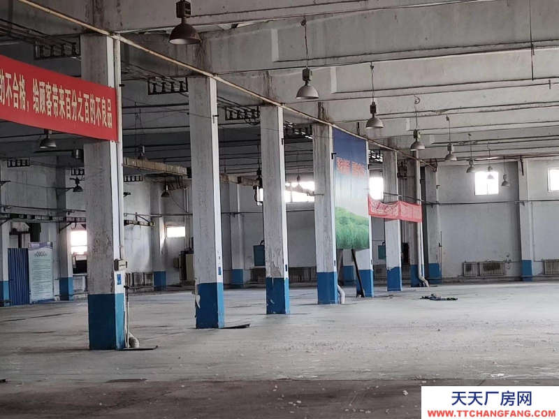 (出租) 整體出租！大型車間出租