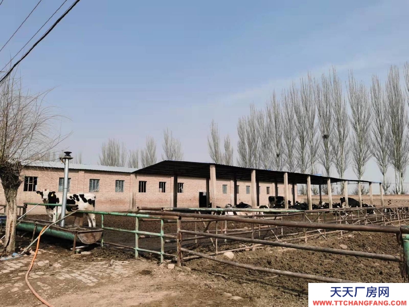 (出售) 大紅本，水電齊全，住房，糧庫，牛舍，晾場，草場，糞場齊全