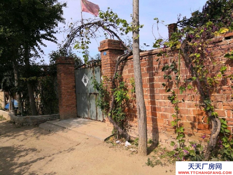 萊州北路 理工學校西