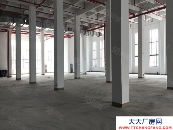 蘇州市吳中區出售工業園8畝,吳江開發區雙層6200平米