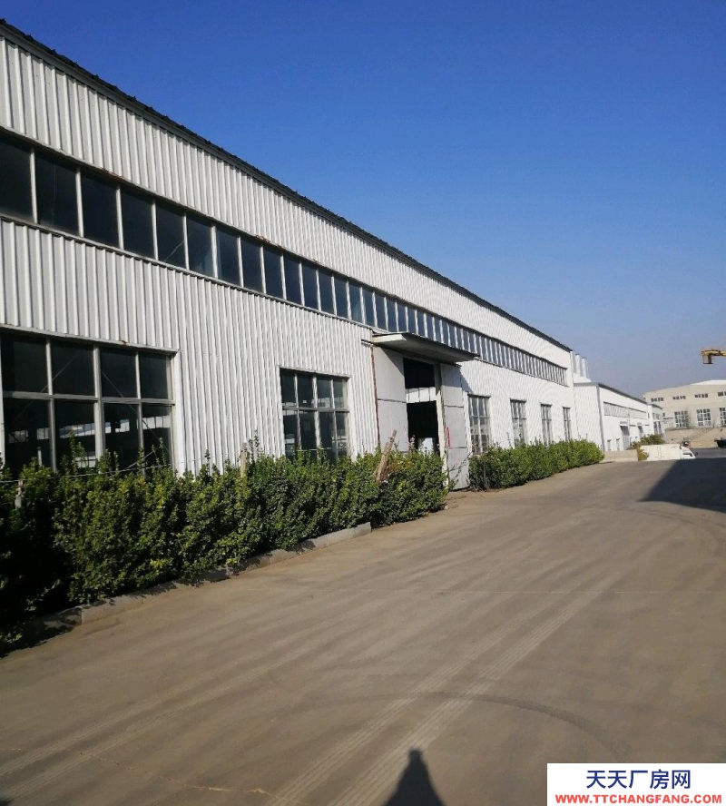 招遠中軒機動車檢測站東 300平～1500平 倉庫 廠房 出租