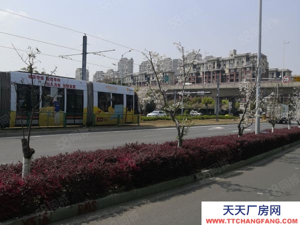 蘇州市滄浪區(qū)國土雙證!1000~6000平米!花園式廠房!