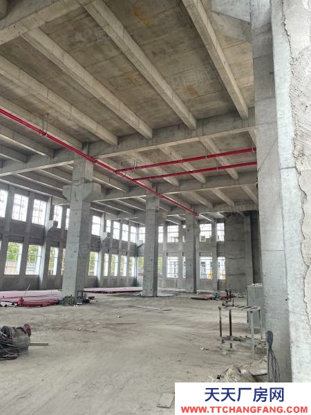 蘇州市 張家港花園式廠房出售