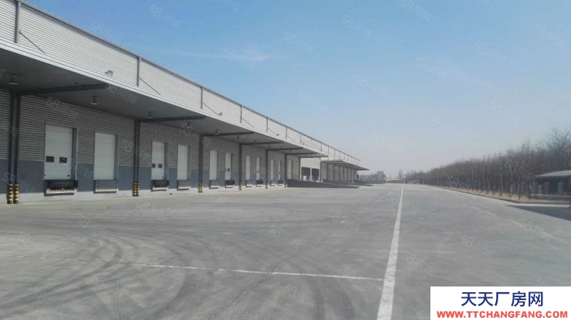 (出租) 天津西青開發(fā)區(qū)產(chǎn)業(yè)園標準丙二類高臺倉庫出租,可分租