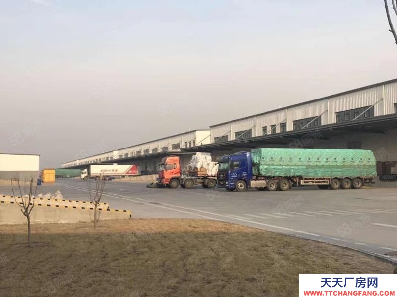 (出租) 天津西青開發(fā)區(qū)產(chǎn)業(yè)園標準丙二類高臺倉庫出租,可分租