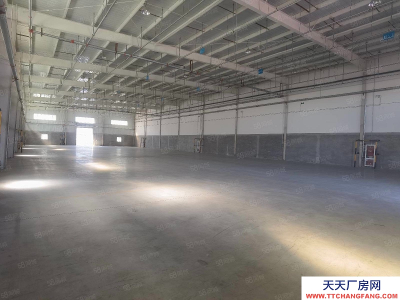 (出租) 天津塘沽武清區(qū)丙一類倉庫對外出租 6000平米