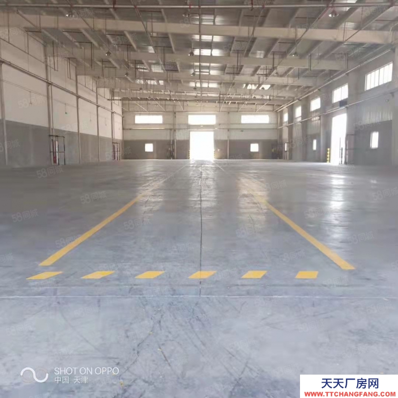 (出租) 天津塘沽武清丙類倉庫可分租