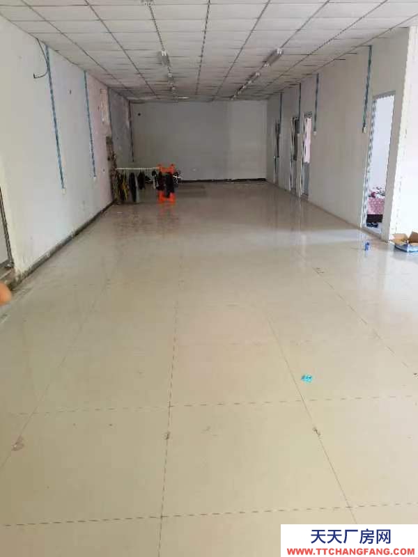 (出租) 天津河西倉庫廠房195平米低價出租