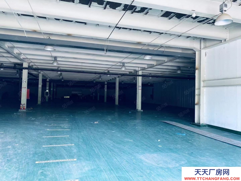 (出租) 天津東麗2100平單層 0.5元 丙二類消防 有環評