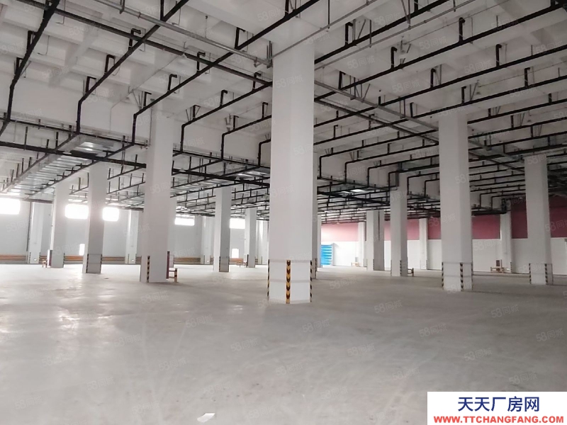 (出租) 天津東麗可臨租，分租，機場貨運區9萬平丙二高標倉出租