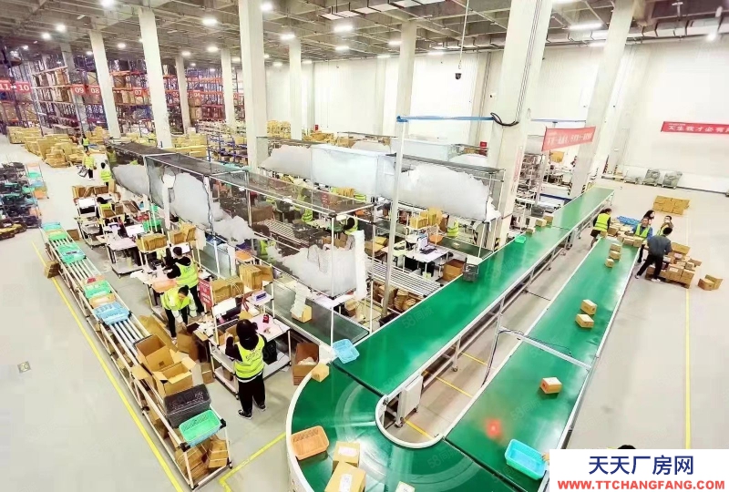 (出租) 天津東麗專業倉儲 100起租 可代發快遞物流