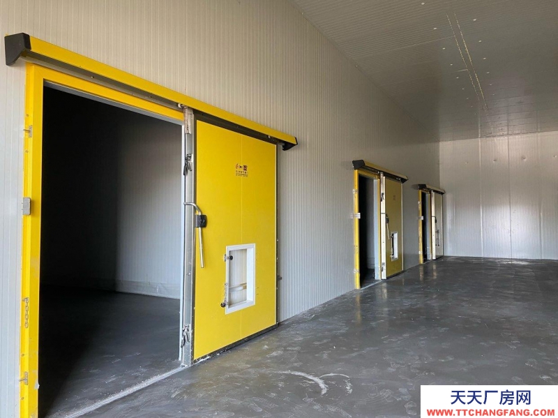 (出租) 全新倉庫、冷庫辦公和住宿于一體