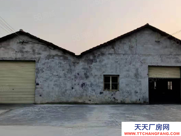 (出租) (天中)交通便利！武陵區明月村房東自建標準廠房倉庫直接出租