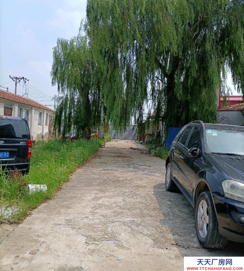 (出租) 天津寧河有房子13間，房子前后有院子，可以擴建，