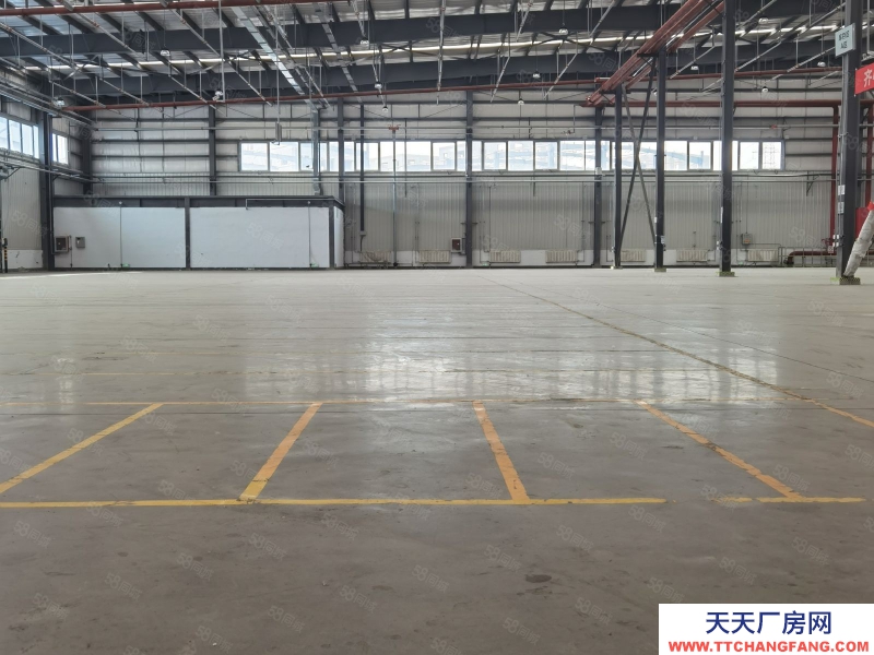 (出租) 天津寧河電商倉庫精選倉庫庫房丙二類高臺倉高臺庫