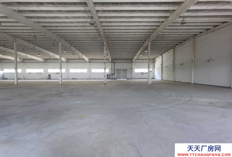 (出租) 出天津靜海良王莊鄉倉庫、廠房可分租