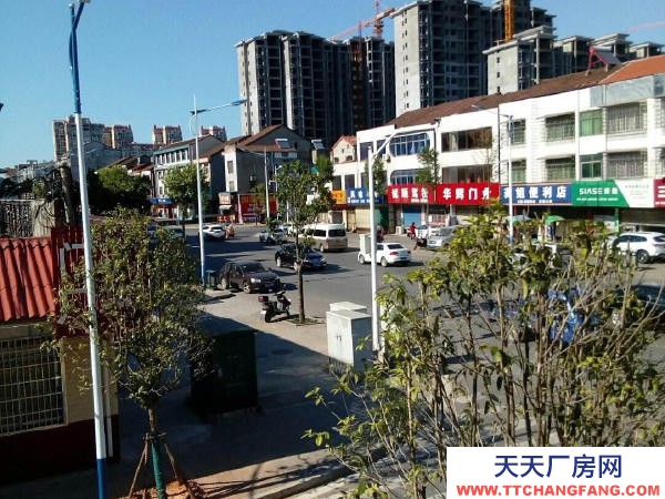 常德市澧縣 出租澧縣新區(qū)玉皇路500㎡獨(dú)棟物業(yè)