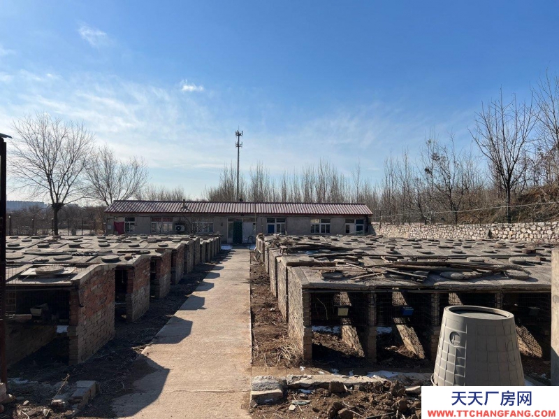 唐山 古治 農(nóng)業(yè)養(yǎng)殖基地倉(cāng)儲(chǔ)住宅配套設(shè)施齊全水電交通齊全