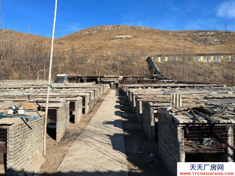 唐山 古治 農(nóng)業(yè)養(yǎng)殖基地倉(cāng)儲(chǔ)住宅配套設(shè)施齊全水電交通齊全